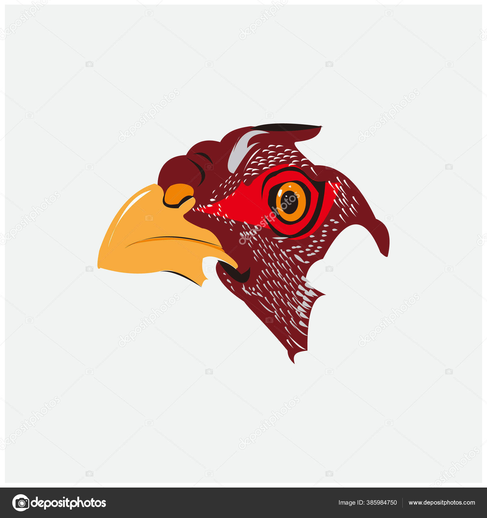 Gambar Kepala Ayam Pada Latar Belakang Putih Stok Vektor C Ayska17 385984750