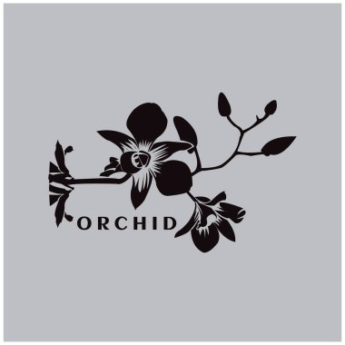 Beyaz arkaplanda orkidelerin silueti