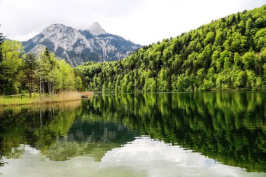 Bavyera 'daki gölün sularındaki dağ ve ormanın yansıması.