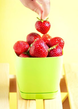 Çilekleri, açık yeşil kovada, sarı arka planda, dikey yönelimli çileklerin üzerinde tutarlar..