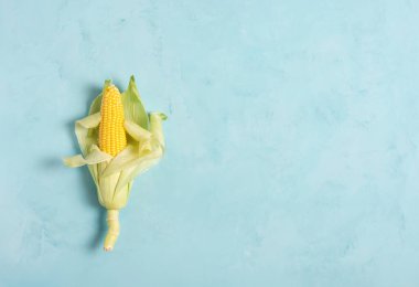 Genç taze mısırlardan oluşan bir kulak mavi beton zemin üzerinde yatar, düz zemin, yatay yönelim, kopyalama alanı, minimalizm.