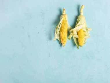 İki taze mısır kulağı mavi bir zeminde yatar, düz uzanır, diz çökme, kopyalama alanı, yatay yönelim.