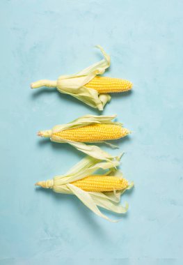 Mısırın üç kulağı mavi arka planda yatar, düz yatar, diz çöker, dikey yönelim gösterir. Sağlıklı gıda konsepti.