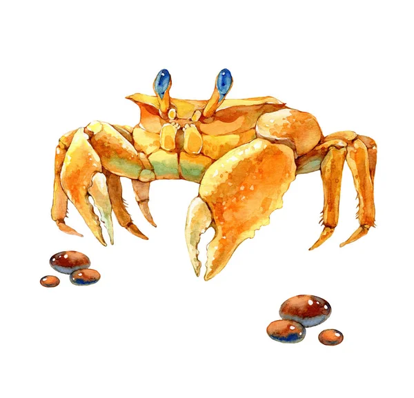 Crab Sea Background Watercolor Illustration White Background — Stock Photo, Image