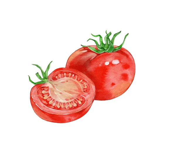 西红柿 白色背景上的水彩画 — 图库照片