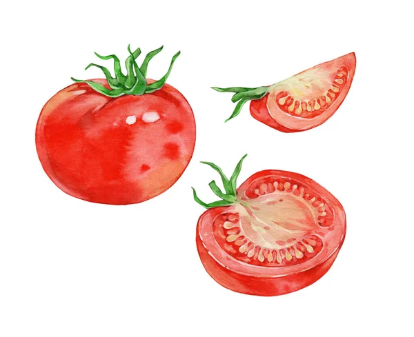 Tomaten Aquarell Illustration Auf Weißem Hintergrund — Stockfoto