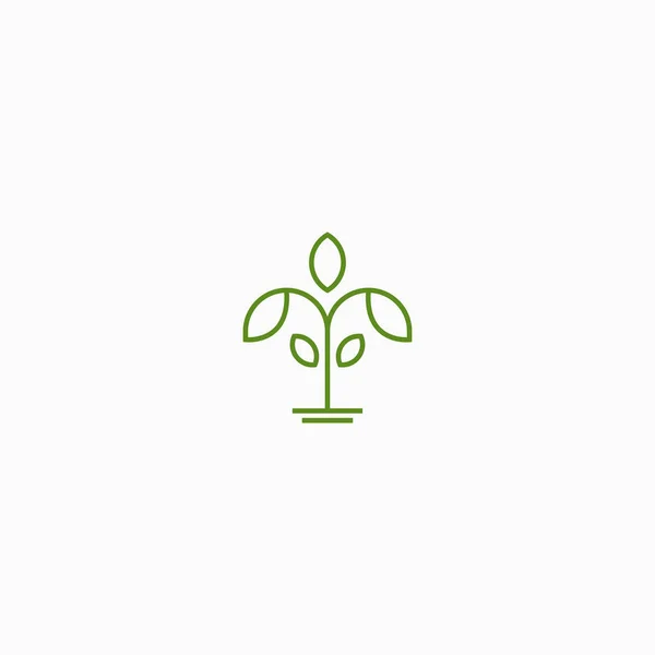 Abstracto Crecer Hoja Naturaleza Logo Icono Diseño Plantilla Vector Ilustración — Vector de stock