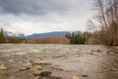 Kanada, British Columbia 'da Terrace yakınlarındaki soğuk bir Kalum nehrinde, arka planda Garland Dağı karla kaplı sığ bir tüfek.
