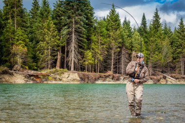 Kanada, British Columbia 'da yeşil Kitimat Nehri' nde bir somon balığına tutulan bir balıkçı. Arka planda kozalaklı ağaçlar var.