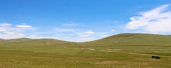 Tour guides parked on a track on a Mongolian grassland