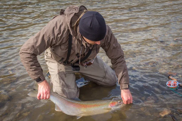 Pescador Desenganchando Una Mosca Una Cabeza Acero Trucha Arco Iris —  Fotos de Stock