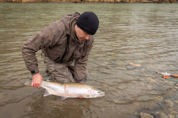 Pescatore Che Rilascia Una Trota Iridea Nel Fiume Kalum Columbia — Foto Stock