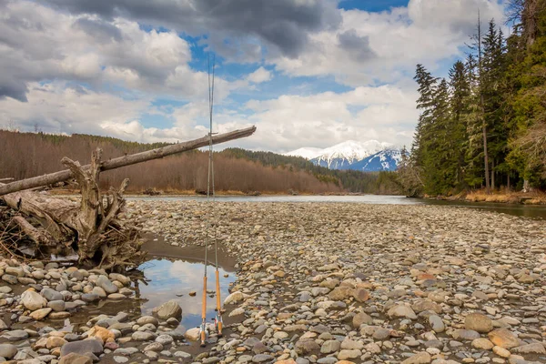 Δύο Καλάμια Ψαρέματος Που Αναπαύονται Ένα Νεκρό Δέντρο Στον Ποταμό — Φωτογραφία Αρχείου