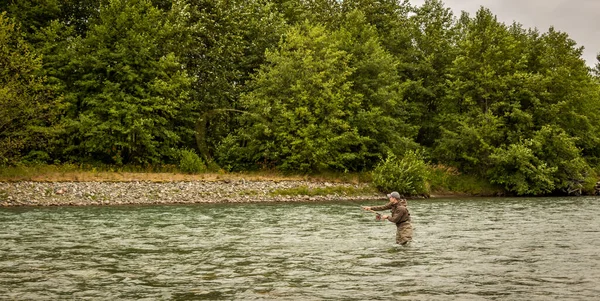 A fly fisherman spey casting while wading in a fast flowing, green glacial river, in North West British Columbia, Canada.