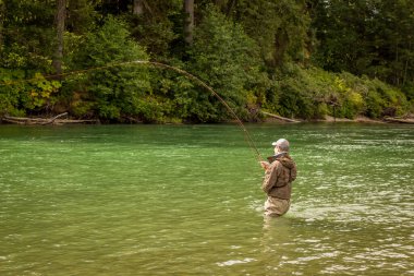 İngiliz Kolombiyası, Kanada 'da Kitimat Nehri' nde yürürken somona takılmış bir adam..