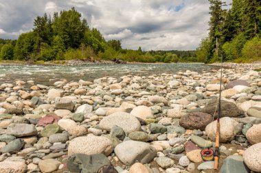 Britanya Kolumbiyası, Kanada 'da Kitimat nehrinin yanındaki kayaların üzerinde dinlenen uçan çubuk..