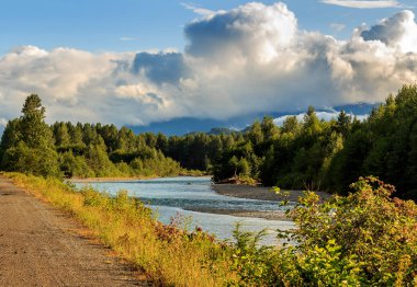 Looking downstream on the Kitimat River in the evening sun, British Columbia, Canada, with forest and cloudy sky in the distance. clipart