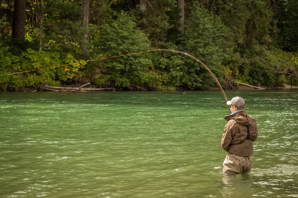 Een Man Gehaakt Een Zalm Een Vliegenstaaf Met Staaf Gebogen — Stockfoto