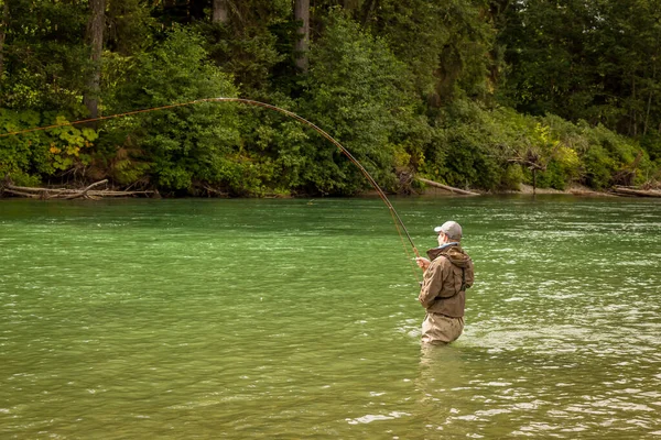 Hombre Enganchado Salmón Una Barra Mosca Mientras Vadea Verde Profundo — Foto de Stock