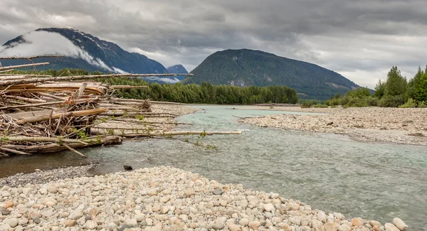 Marmellata Tronchi Alla Confuenza Del Fiume Shames Skeena Una Giornata — Foto Stock