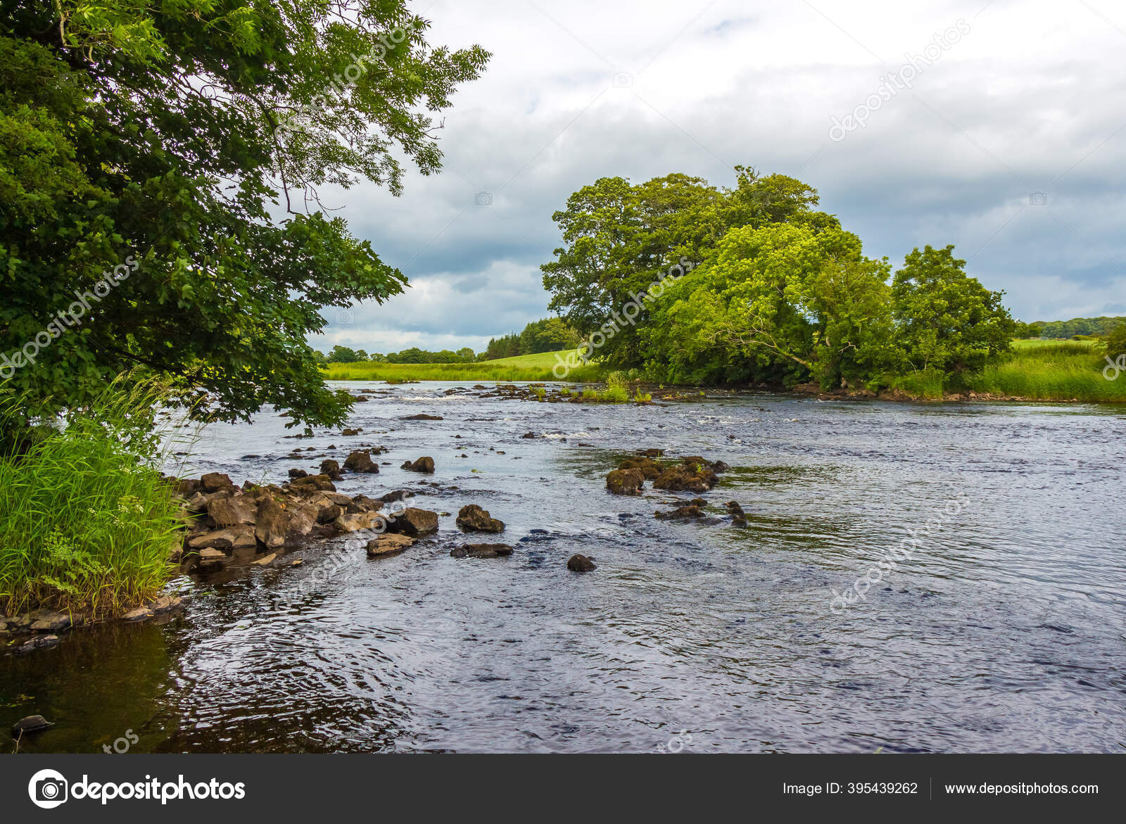 Rocky Riffle Trees Summers Day River Dee Galloway Scotland — Stock ...