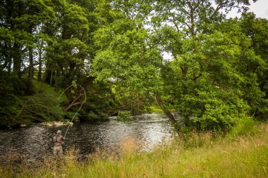 Minnoch, Newton Stewart, Galloway, İskoçya 'da uçan çubukla somon avlayan bir balıkçı.