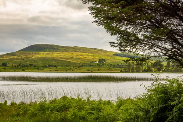 Vue Sur Loch Stroan Avec Roseau Les Collines Arrière Plan — Photo