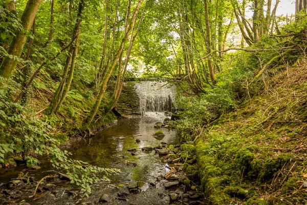 Water Stroomt Een Oude Romige Stuw Door Een Bos Stenen — Stockfoto