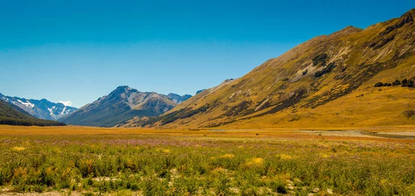 Een Weide Het Ahuriri Dal Omgeven Door Bergen Een Zonnige — Stockfoto