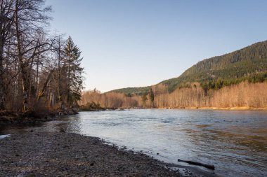 Bir bahar sabahı, Deep Creek 'teki Kalum Nehri' nin aşağısında Terrace, Skeena Bölgesi, British Columbia, Kanada