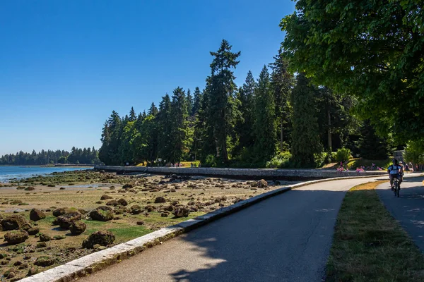 Vancouver Kanada Juli 2017 Havsmuren Stanley Park Sommardag Vid Lågvatten — Stockfoto