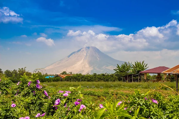 Kuzey Sumatra, Endonezya 'daki Toba Gölü yakınlarındaki tarım arazisi üzerinde Sinabung Dağı manzarası