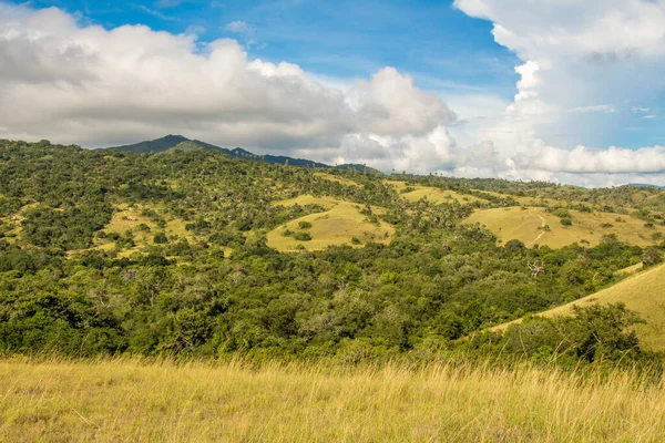 Paisaje Pastizales Arbustos Isla Rinca Parque Nacional Komodo Flores Indonesia — Foto de Stock