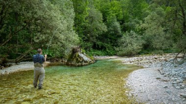 Slovenya, Tolmin yakınlarındaki Soca Nehri 'nde mermer alabalık avlayan bir adam.