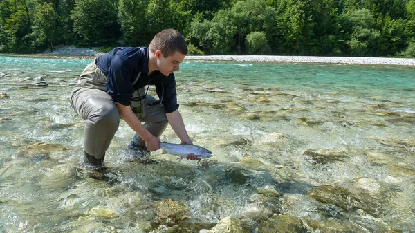 Pescatore Che Rilascia Una Trota Iridea Nel Fiume Soca Slovenia — Foto Stock
