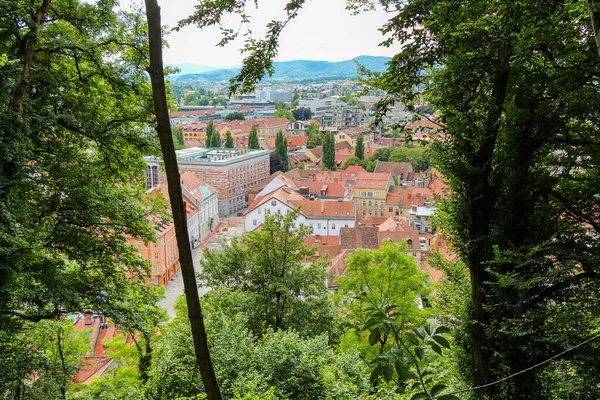 Uma Vista Através Das Árvores Partir Ponto Vista Castelo Liubliana — Fotografia de Stock