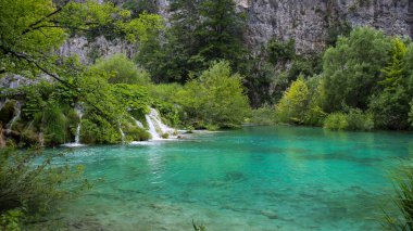 Hırvatistan 'ın Plitvice Gölleri' nin UNESCO Dünya Mirası Alanında sığ bir göl