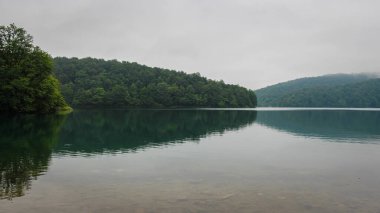 Hırvatistan 'ın Unesco Dünya Mirası Bölgesi, Plitvice Gölleri' ndeki Kozjak Gölü üzerindeki bir orman ormanının yansıması