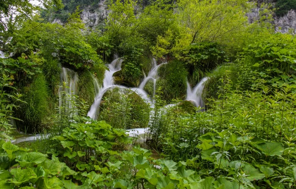 Woda Przepływająca Przez Roślinność Wodospad Nad Jeziorami Plitwickimi Chorwacja — Zdjęcie stockowe