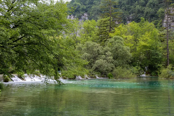 Озеро Плитвицких Озерах Водопадом Лесом Заднем Плане Хорватия — стоковое фото