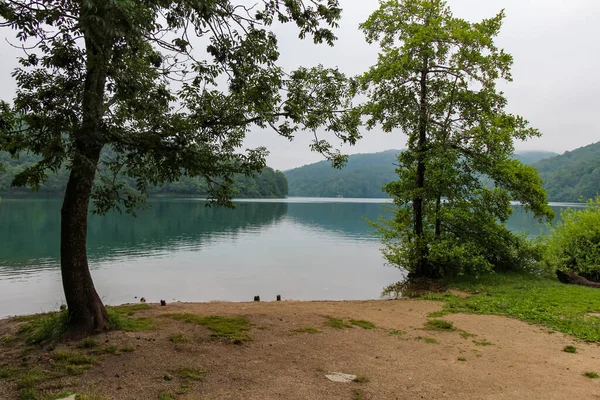 Día Nublado Orilla Del Lago Kozjak Los Lagos Plitvice Patrimonio — Foto de Stock