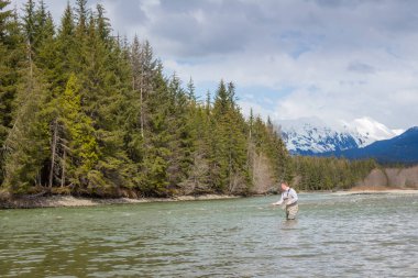 Bir balıkçı baharda Kanada 'daki British Columbia' da bir dağ nehrine atlıyor.