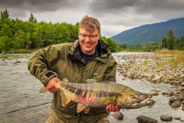 A happy sport fisherman holding up a big trophy Chum Salmon on the Kitimat River, British Columbia, Canada clipart