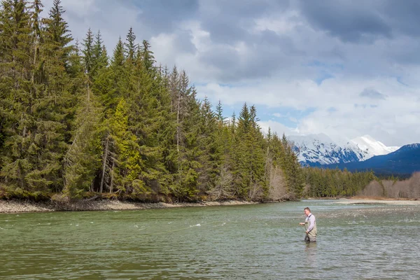Pescador Que Pesca Steelhead Río Región Skeena Columbia Británica Canadá — Foto de Stock