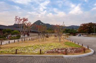 Gyeongbokgung Sarayı 'nda bir park, arka planda Inwangsan Dağı, sonbahar ya da sonbahar, Seul, Güney Kore