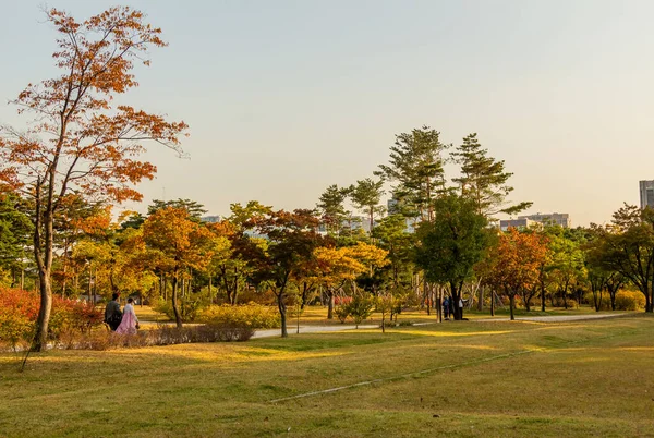 下午晚些时候 韩国首尔 秋色的庆波宫场地 — 图库照片