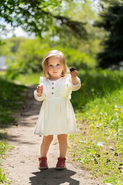 Ein Kleines Kind Weißem Kleid Und Blonden Haaren Sammelt Wald — Stockfoto