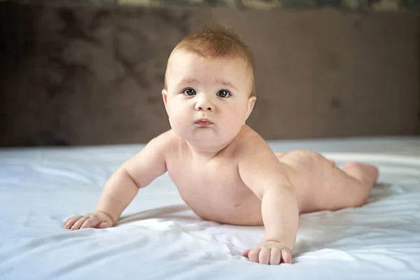 Wonderful Baby Six Months Lies White Sheet His Stomach Trying — Stock Photo, Image