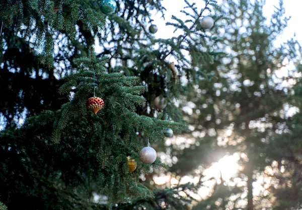 Grandes Boules Noël Colorées Pendent Sur Arbre Grandes Boules Noël — Photo