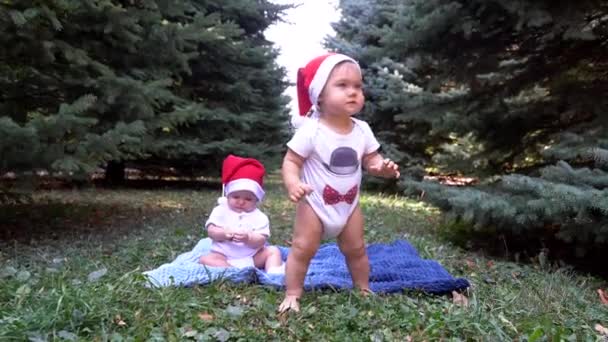 Два младенца в шляпах Санта-Клауса ползают — стоковое видео